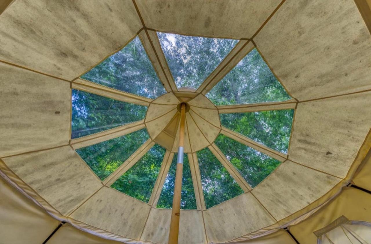 The Aries-A Stargazing, Luxury Glamping Tent Rogersville Kültér fotó