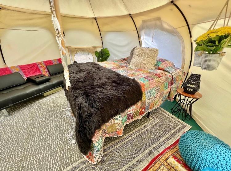 The Aries-A Stargazing, Luxury Glamping Tent Rogersville Kültér fotó