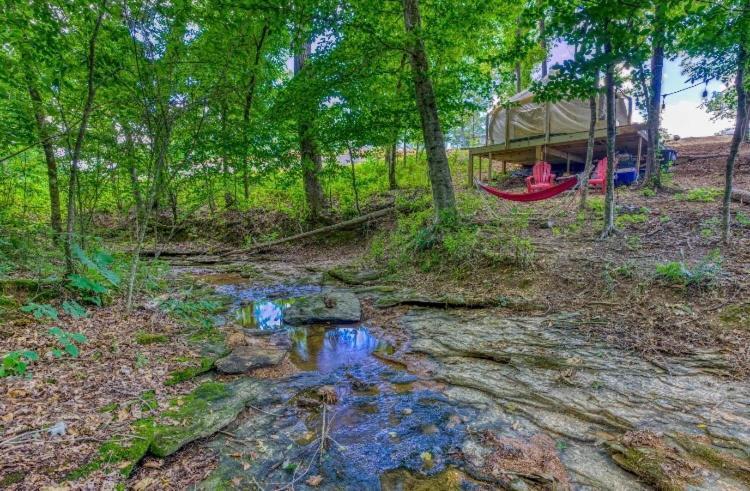 The Aries-A Stargazing, Luxury Glamping Tent Rogersville Kültér fotó